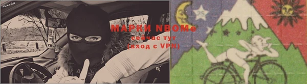 ПСИЛОЦИБИНОВЫЕ ГРИБЫ Балахна