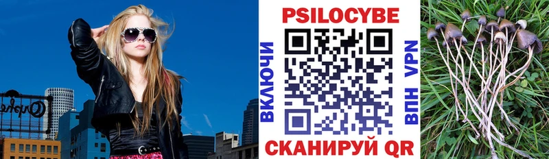 нарко площадка как зайти  mega ССЫЛКА  Краснокаменск  наркотики  Псилоцибиновые грибы Cubensis 